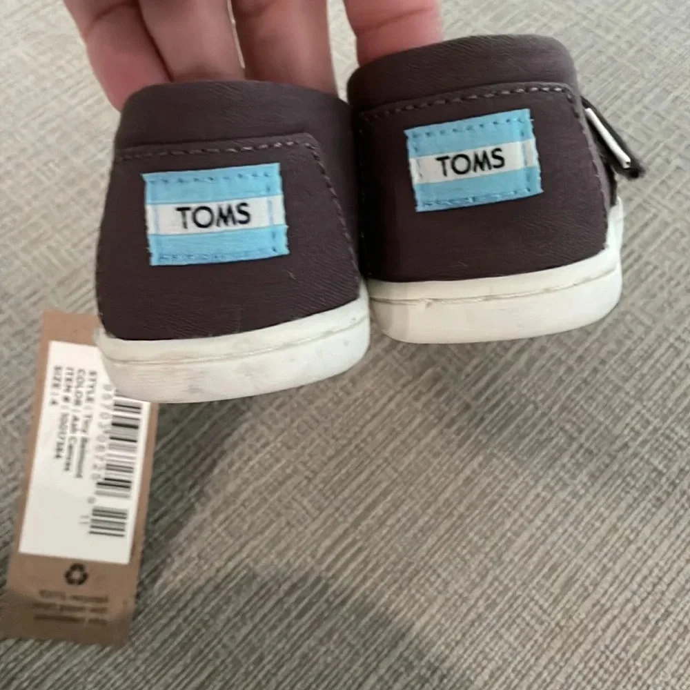 Toms Tiny Belmont Ash Canvas NEW